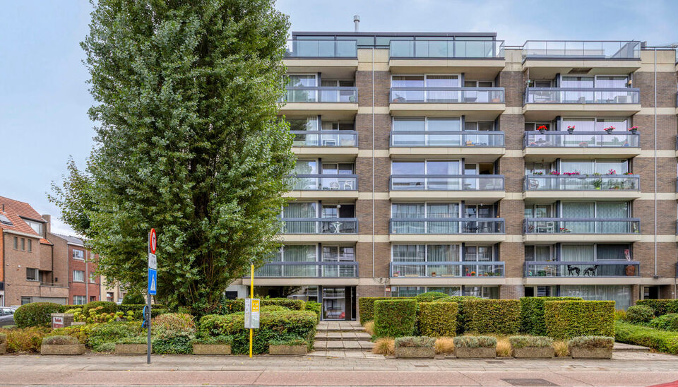 Appartement te huur in Hasselt