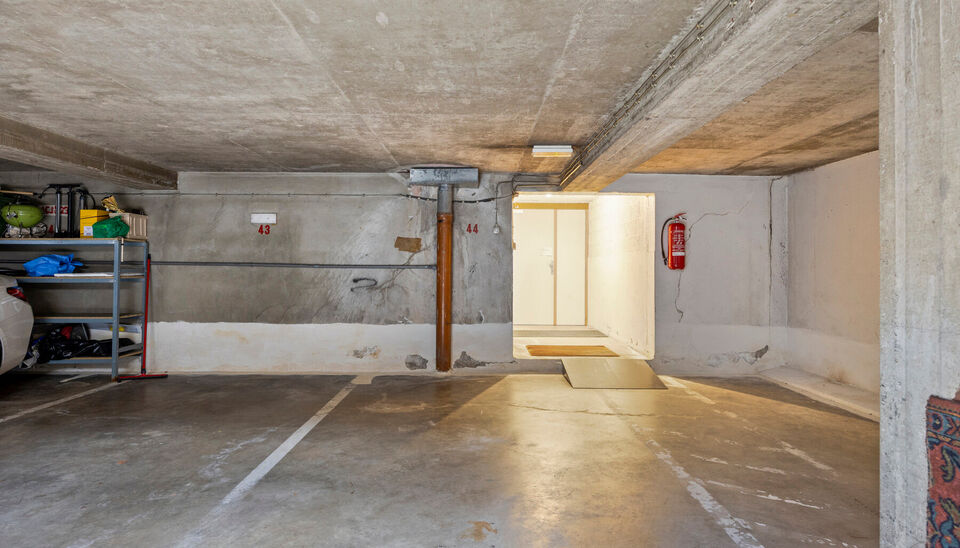Appartement te huur in Hasselt