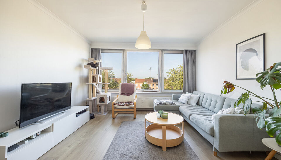 TOP GELEGEN, RUIM APPARTEMENT MET 3 SLAAPKAMERS, EPC LABEL C, PRIVATE AUTOSTANDPLAATS EN KELDERBERGING TE HASSELT!

We vinden dit op te frissen appartement terug aan de Hendrik van Veldekesingel 3 bus 8 te Hasselt. De ligging is hier centraal te noemen: a