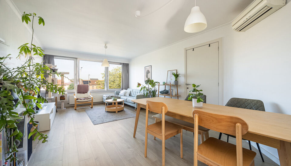 TOP GELEGEN, RUIM APPARTEMENT MET 3 SLAAPKAMERS, EPC LABEL C, PRIVATE AUTOSTANDPLAATS EN KELDERBERGING TE HASSELT!

We vinden dit op te frissen appartement terug aan de Hendrik van Veldekesingel 3 bus 8 te Hasselt. De ligging is hier centraal te noemen: a