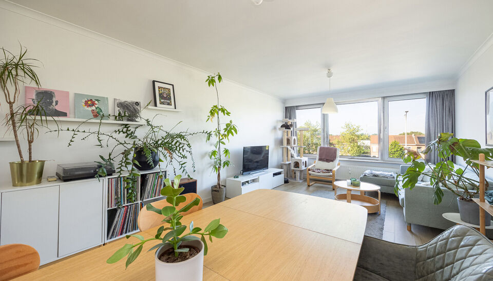 TOP GELEGEN, RUIM APPARTEMENT MET 3 SLAAPKAMERS, EPC LABEL C, PRIVATE AUTOSTANDPLAATS EN KELDERBERGING TE HASSELT!

We vinden dit op te frissen appartement terug aan de Hendrik van Veldekesingel 3 bus 8 te Hasselt. De ligging is hier centraal te noemen: a