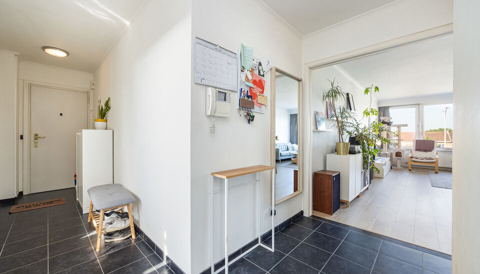 TOP GELEGEN, RUIM APPARTEMENT MET 3 SLAAPKAMERS, EPC LABEL C, PRIVATE AUTOSTANDPLAATS EN KELDERBERGING TE HASSELT!

We vinden dit op te frissen appartement terug aan de Hendrik van Veldekesingel 3 bus 8 te Hasselt. De ligging is hier centraal te noemen: a