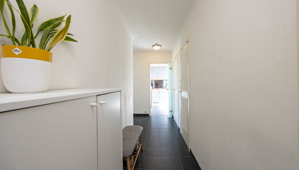 TOP GELEGEN, RUIM APPARTEMENT MET 3 SLAAPKAMERS, EPC LABEL C, PRIVATE AUTOSTANDPLAATS EN KELDERBERGING TE HASSELT!

We vinden dit op te frissen appartement terug aan de Hendrik van Veldekesingel 3 bus 8 te Hasselt. De ligging is hier centraal te noemen: a