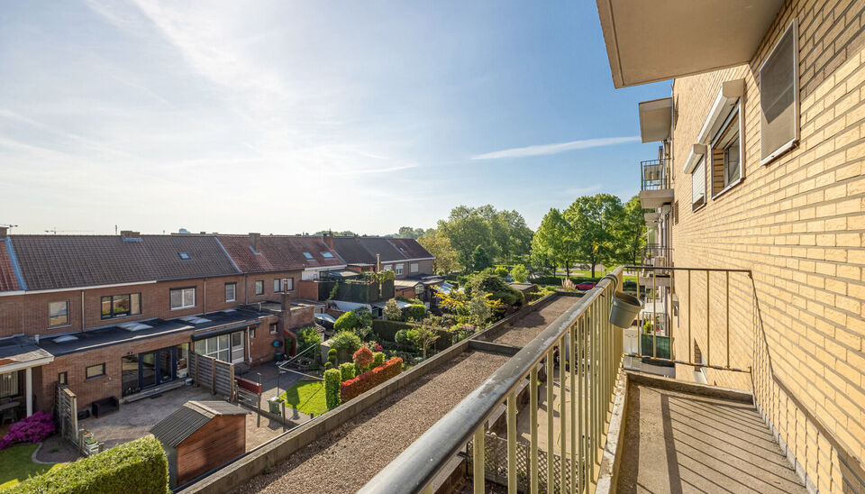 TOP GELEGEN, RUIM APPARTEMENT MET 3 SLAAPKAMERS, EPC LABEL C, PRIVATE AUTOSTANDPLAATS EN KELDERBERGING TE HASSELT!

We vinden dit op te frissen appartement terug aan de Hendrik van Veldekesingel 3 bus 8 te Hasselt. De ligging is hier centraal te noemen: a