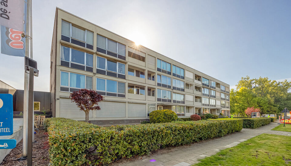 TOP GELEGEN, RUIM APPARTEMENT MET 3 SLAAPKAMERS, EPC LABEL C, PRIVATE AUTOSTANDPLAATS EN KELDERBERGING TE HASSELT!

We vinden dit op te frissen appartement terug aan de Hendrik van Veldekesingel 3 bus 8 te Hasselt. De ligging is hier centraal te noemen: a