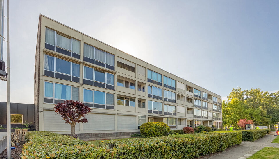 TOP GELEGEN, RUIM APPARTEMENT MET 3 SLAAPKAMERS, EPC LABEL C, PRIVATE AUTOSTANDPLAATS EN KELDERBERGING TE HASSELT!

We vinden dit op te frissen appartement terug aan de Hendrik van Veldekesingel 3 bus 8 te Hasselt. De ligging is hier centraal te noemen: a