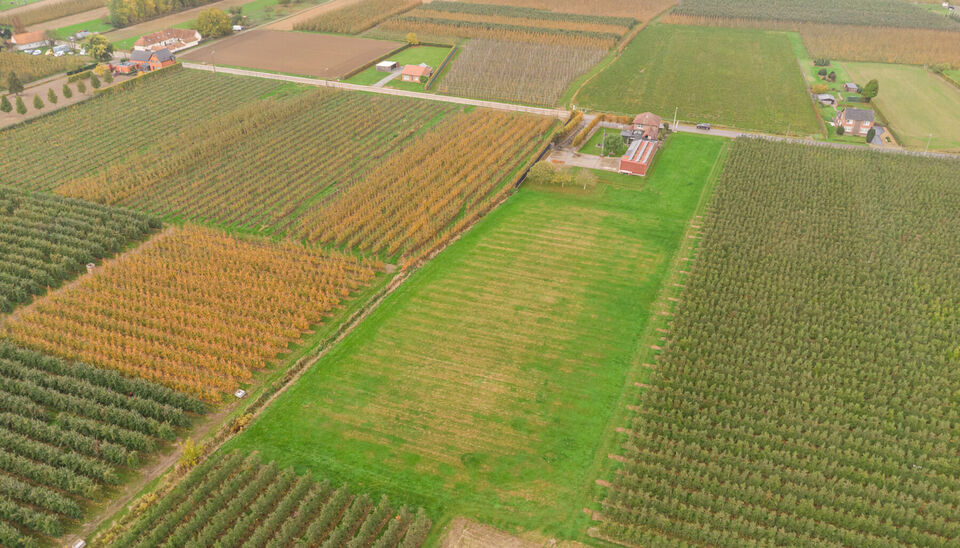 Huis te koop in Alken