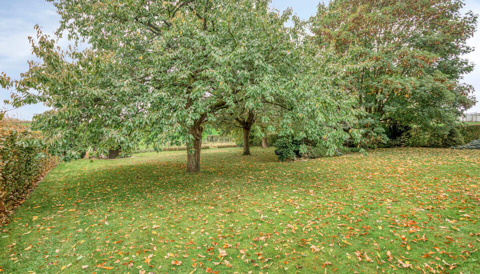 Huis te koop in Gingelom