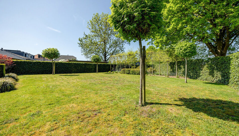 INSTAPKLARE, RUIME GEZINSWONING MET 5 SLAAPKAMERS, 3 BADKAMERS EN ZONNETERRAS OP EEN PRACHTIG WESTELIJK GEORIENTEERD PERCEEL VAN 10A55CA TE HASSELT!

In Sint-Lambrechts-Herk, vlak aan de verbindingsweg Hasselt-Sint-Truiden vinden we deze ruime en multifun