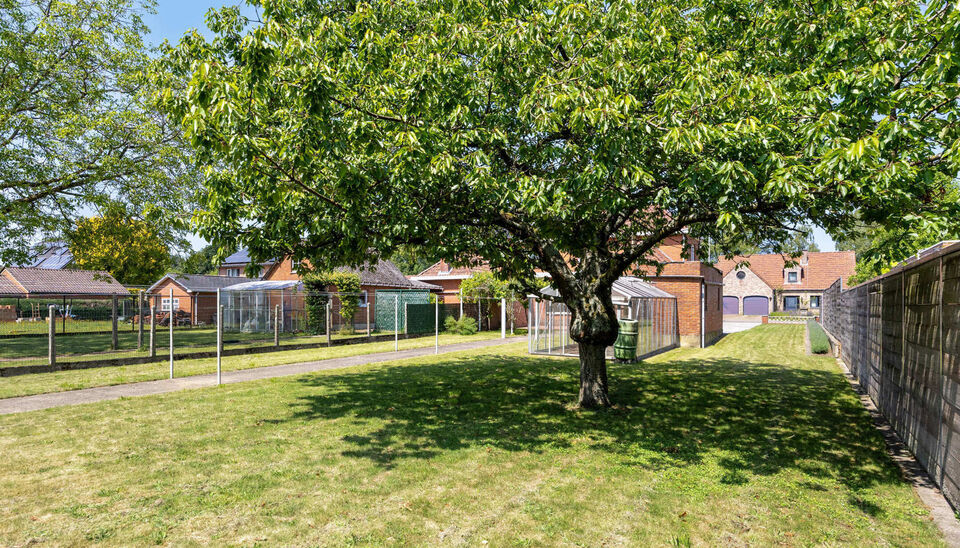 Huis te koop in Houthalen-Helchteren